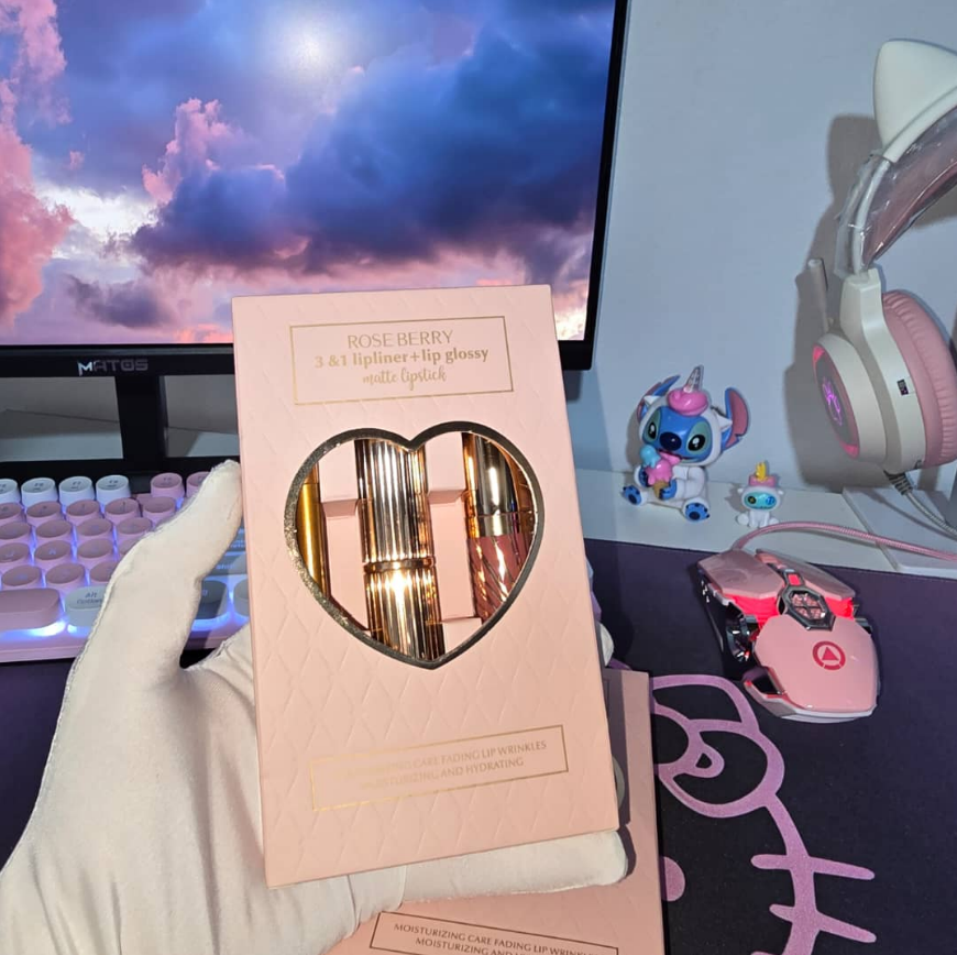 3&1 lip liner + lip gloss + matte lip stick